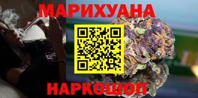 сатива Можга
