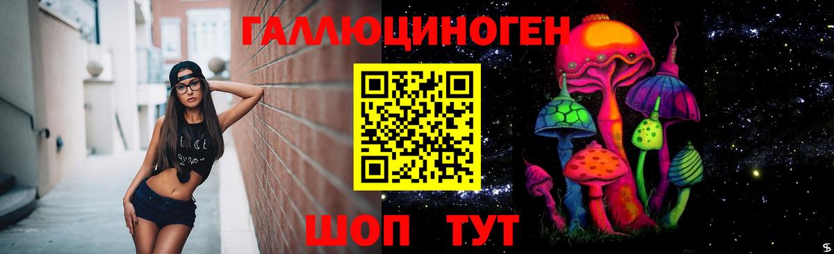 Галлюциногенные грибы GOLDEN TEACHER Чернушка